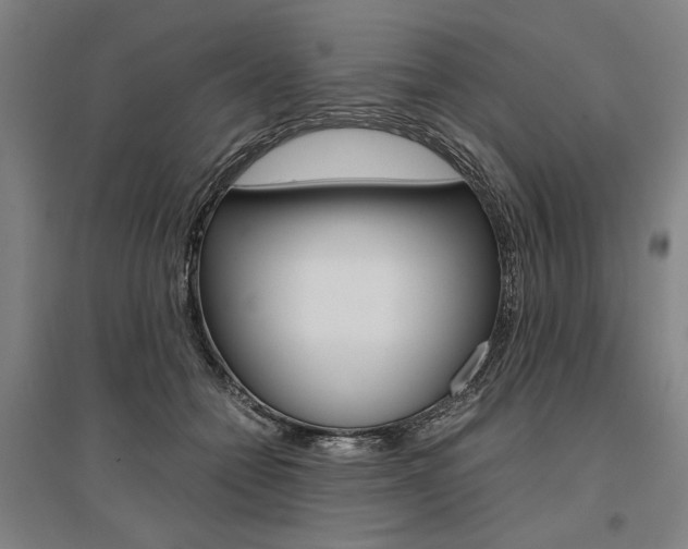 X0000095540558200712141026