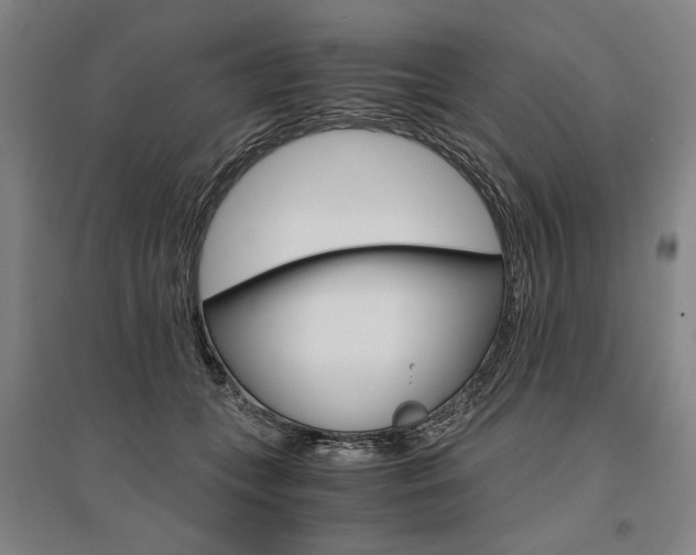 X0000095540559200712141026
