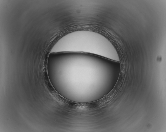 X0000095540560200712141026