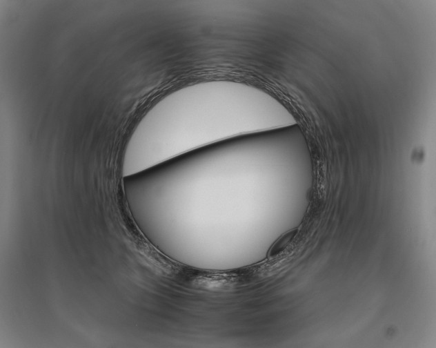 X0000095540563200712141026