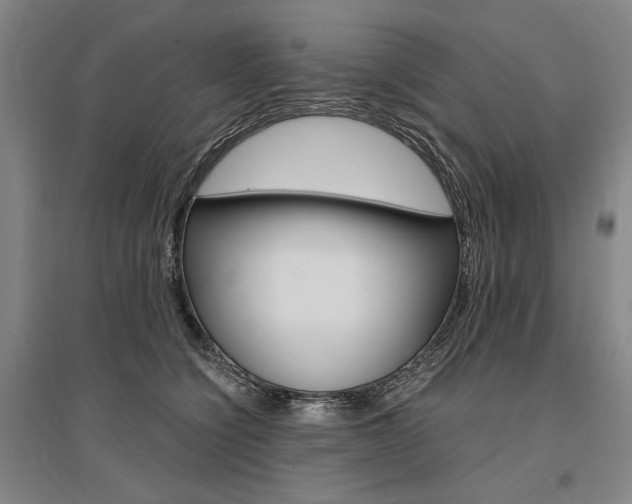 X0000095540564200712141026