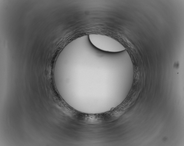 X0000095540565200712141026