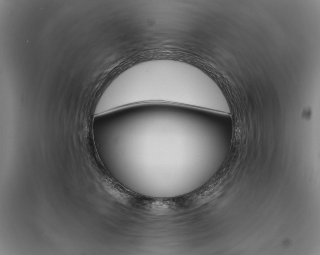 X0000095540566200712141026