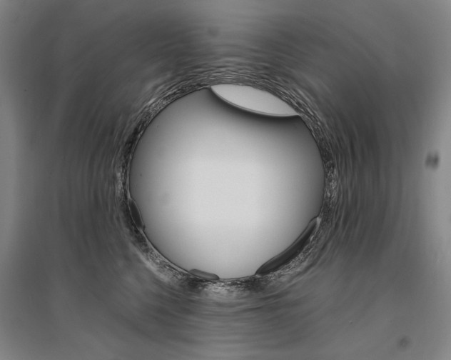 X0000095540568200712141026