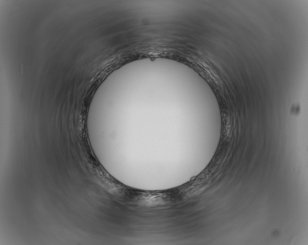 X0000095540569200712141026