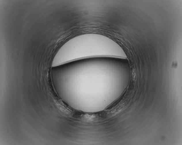 X0000095540570200712141026