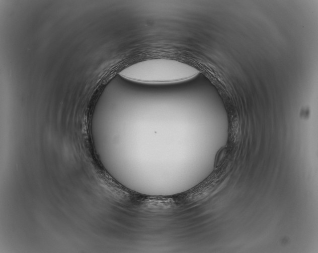 X0000095540571200712141026