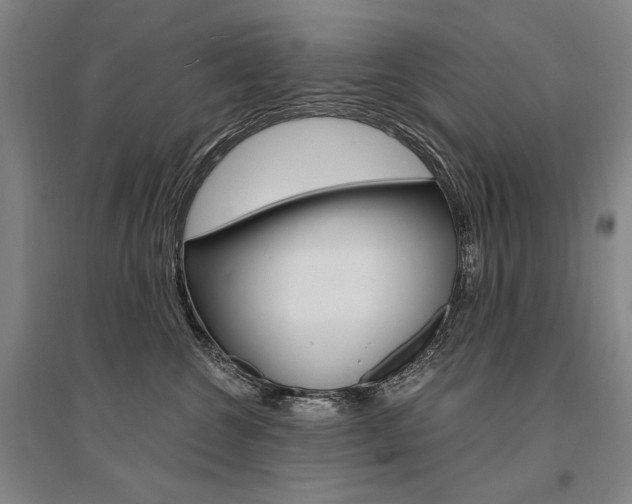 X0000095540572200712141026