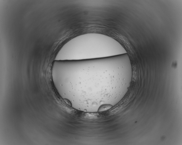 X0000095540573200712141026