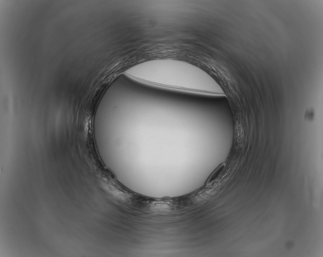 X0000095540574200712141026