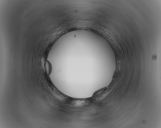 X0000095540575200712141026