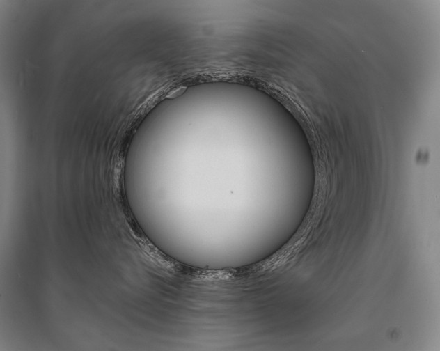 X0000095540576200712141026