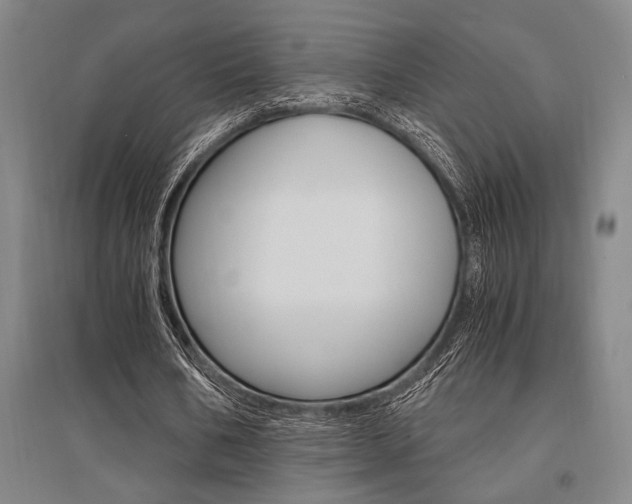 X0000095540578200712141026