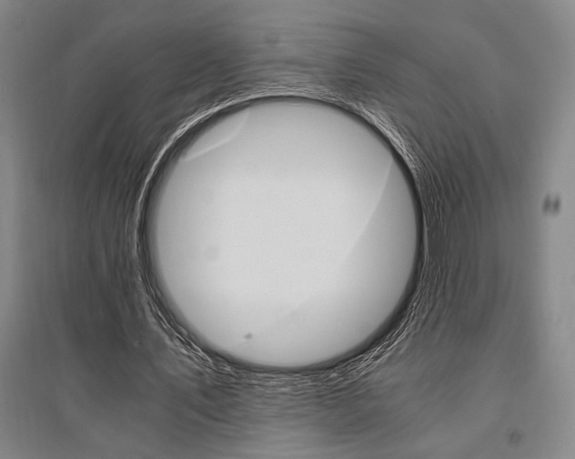 X0000095540579200712141026