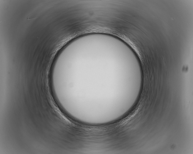 X0000095540581200712141026