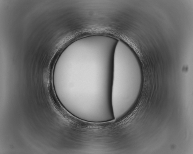 X0000095540582200712141026