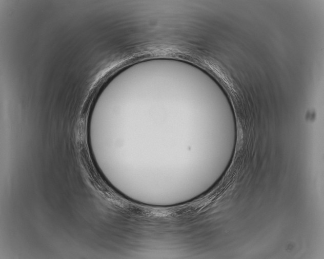 X0000095540583200712141026