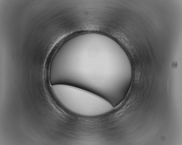 X0000095540584200712141026