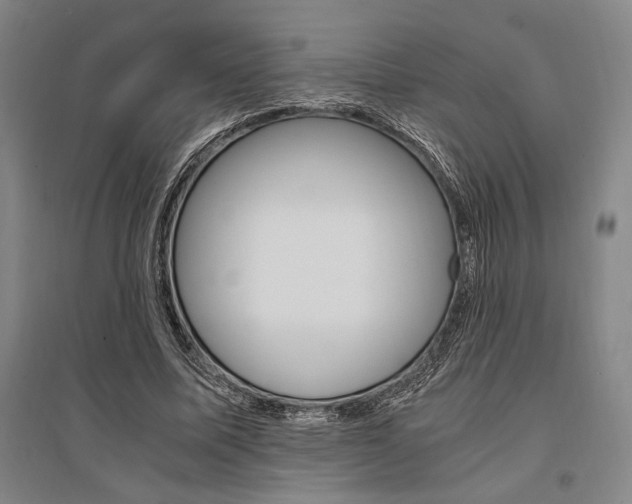 X0000095540587200712141026