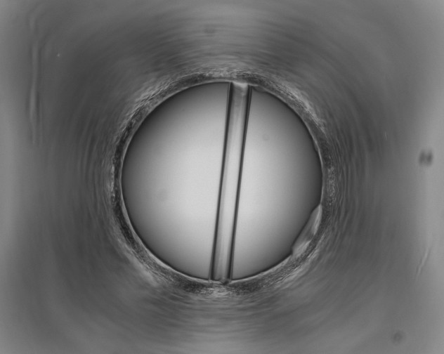 X0000095540589200712141025