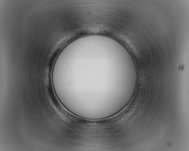 X0000095540590200712141025