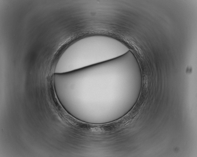 X0000095540591200712141025