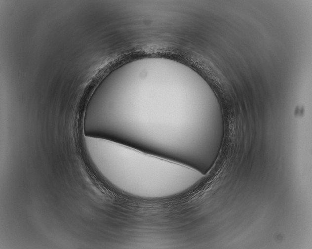 X0000095540592200712141025