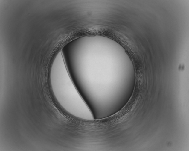 X0000095540593200712141025