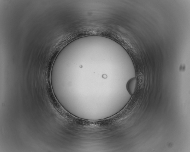 X0000095540594200712141025