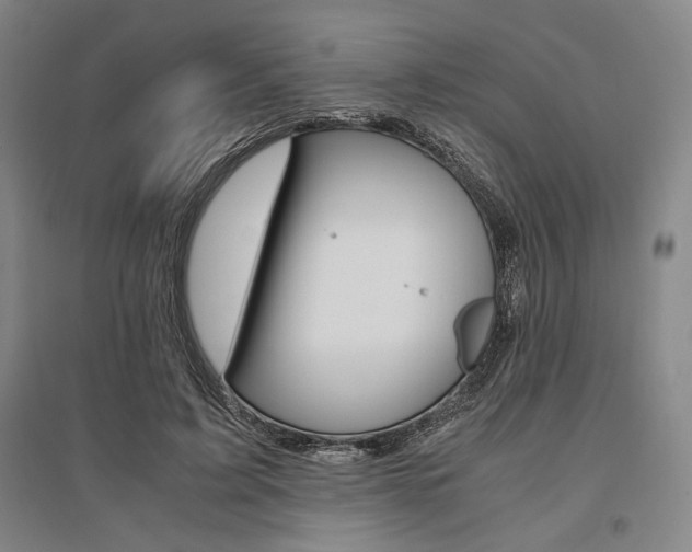 X0000095540595200712141025