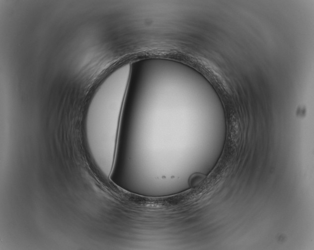 X0000095540596200712141025