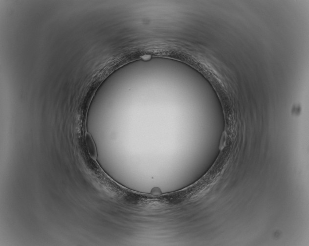 X0000095540597200712141025