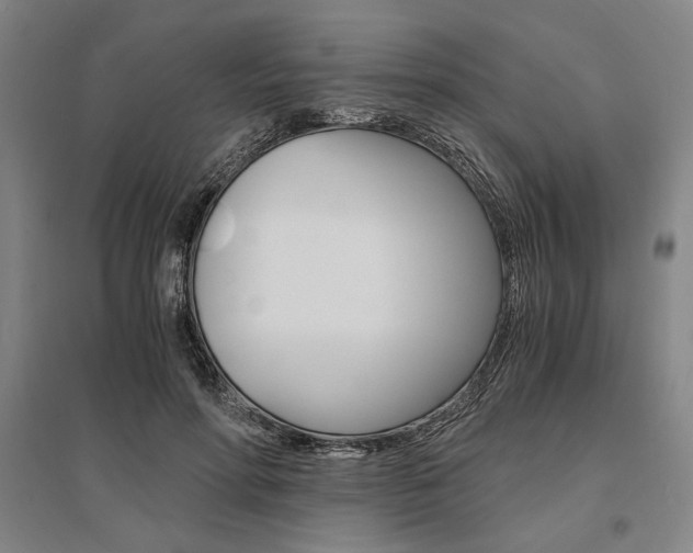X0000095540598200712141025