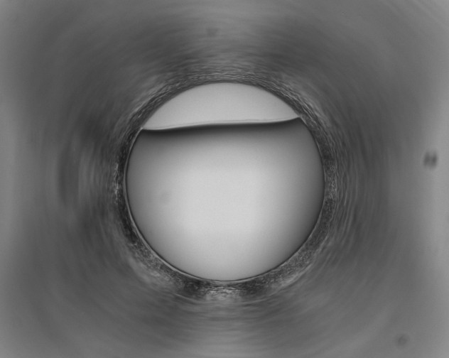 X0000095540599200712141025