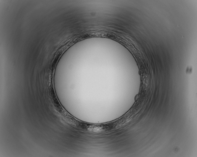 X0000095540602200712141025