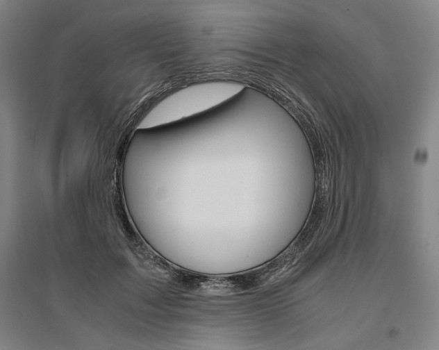 X0000095540603200712141025