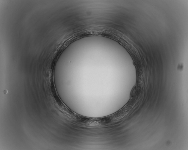 X0000095540604200712141025