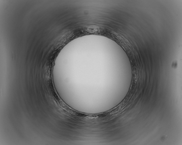 X0000095540606200712141025