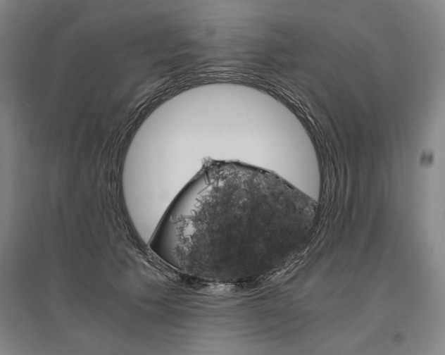 X0000095540609200712141025