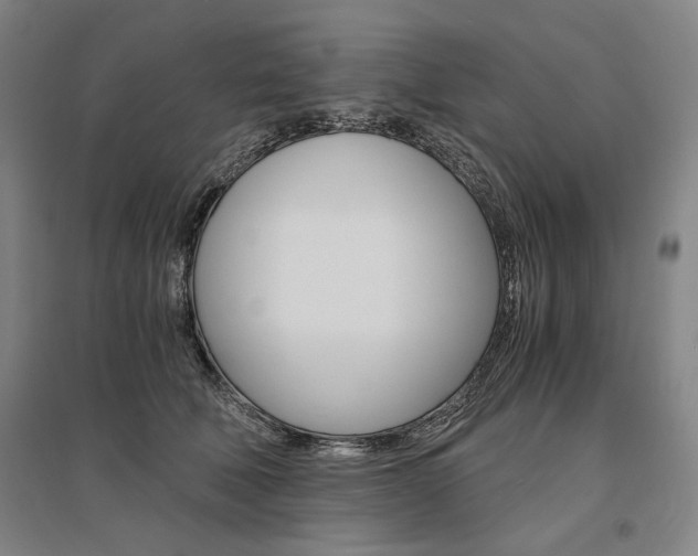 X0000095540610200712141025