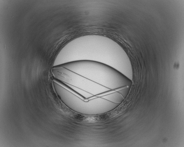 X0000095540611200712141025