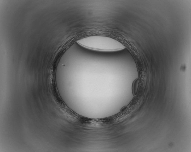 X0000095540612200712141025
