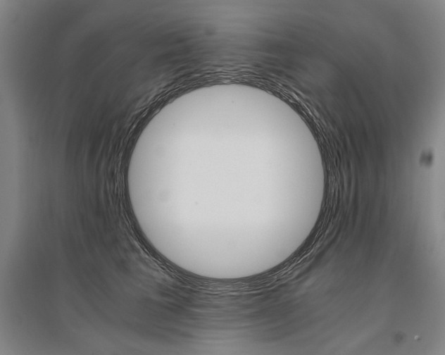 X0000095540613200712141025