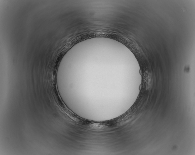 X0000095540614200712141025
