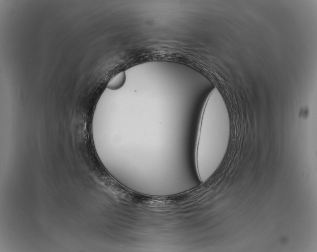 X0000095540615200712141025