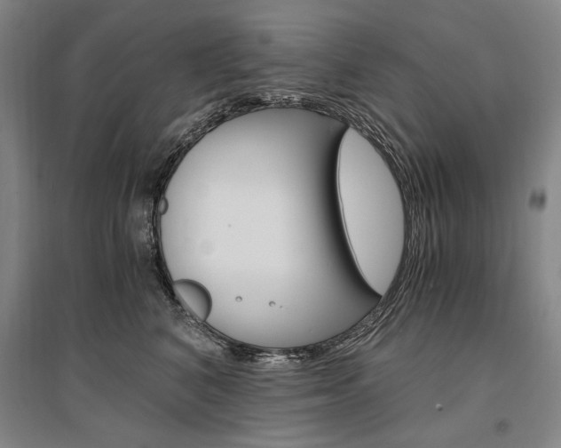 X0000095540616200712141025