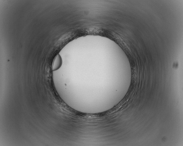 X0000095540619200712141025