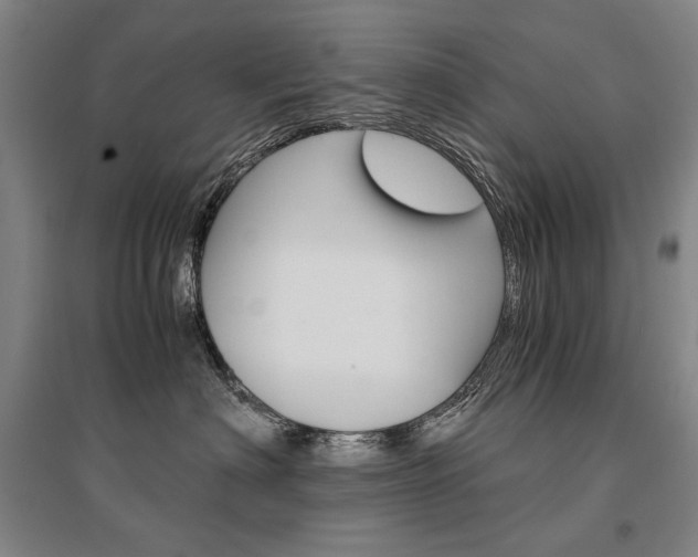 X0000095540622200712141025
