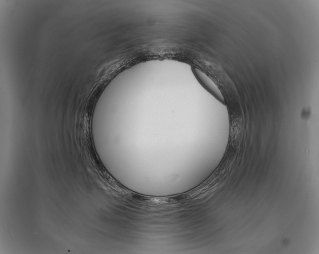 X0000095540623200712141025