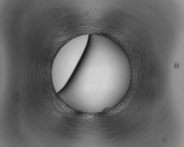X0000095540624200712141025